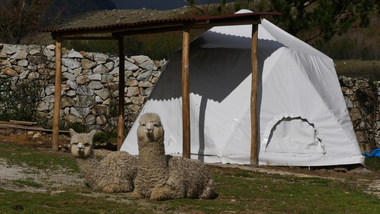 Domos Cordillera Blanca Villa Huaraz  Exterior foto